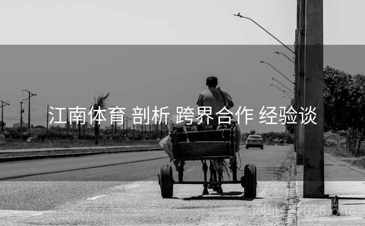 江南体育 剖析 跨界合作 经验谈