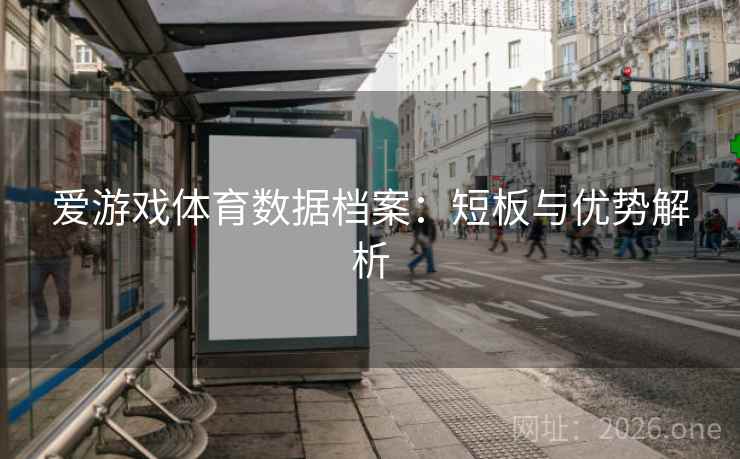爱游戏体育数据档案：短板与优势解析