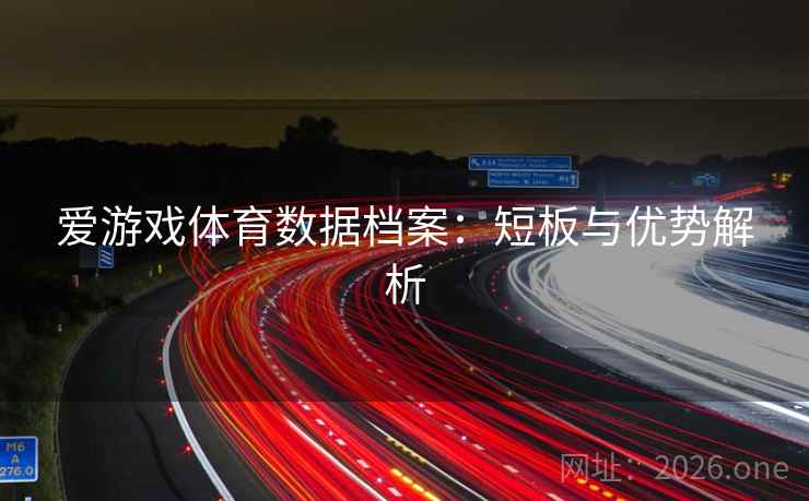 爱游戏体育数据档案：短板与优势解析