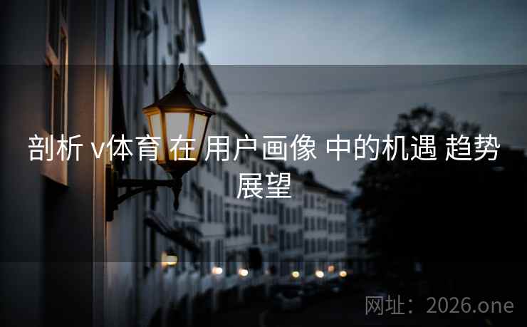 剖析 v体育 在 用户画像 中的机遇 趋势展望