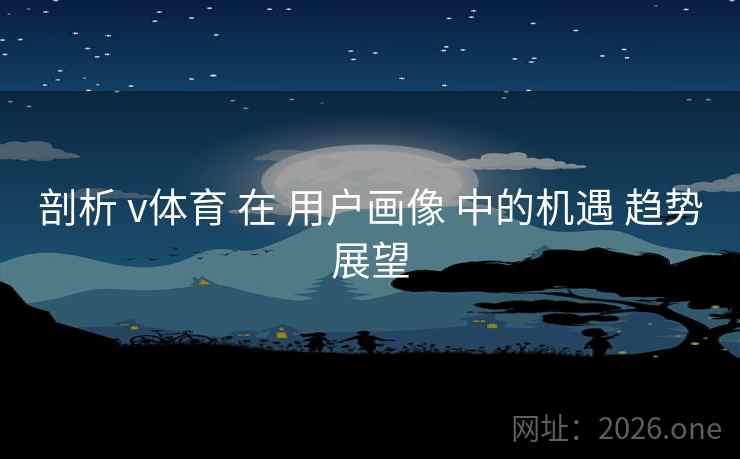 剖析 v体育 在 用户画像 中的机遇 趋势展望