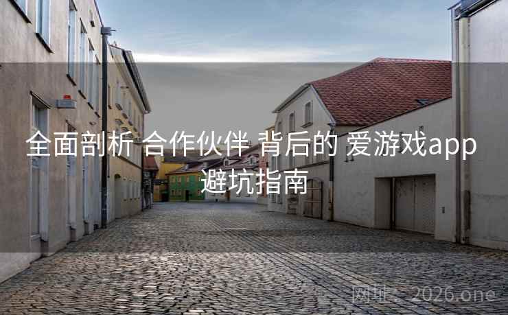 全面剖析 合作伙伴 背后的 爱游戏app 避坑指南