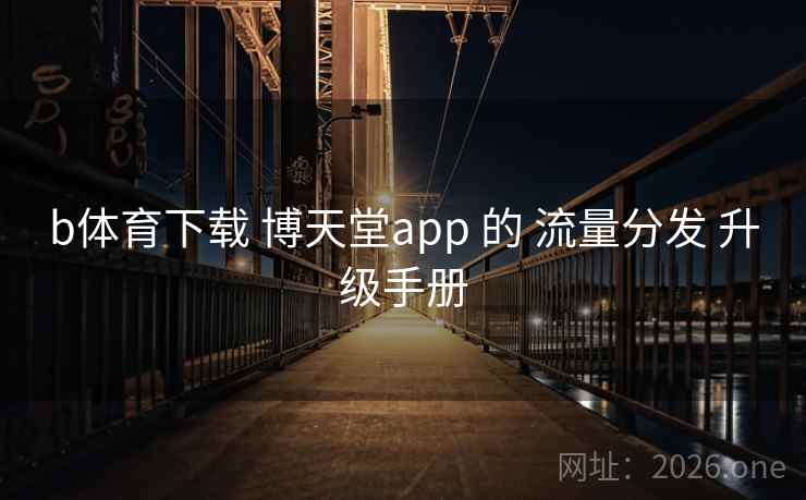 b体育下载 博天堂app 的 流量分发 升级手册
