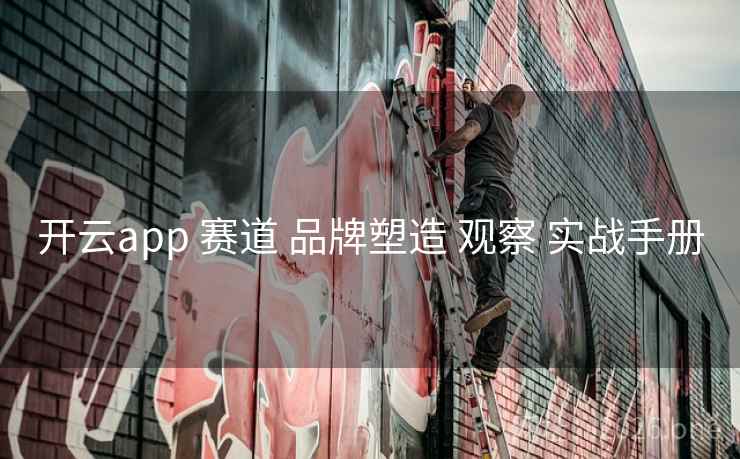 开云app 赛道 品牌塑造 观察 实战手册