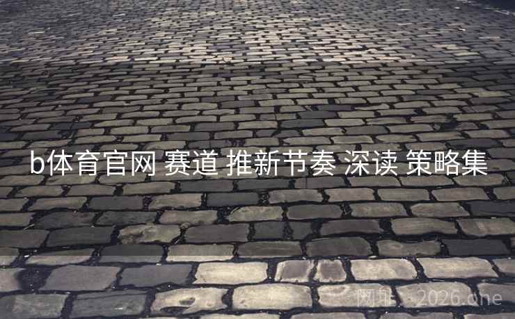 b体育官网 赛道 推新节奏 深读 策略集