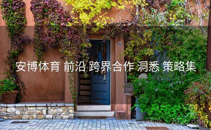 安博体育 前沿 跨界合作 洞悉 策略集