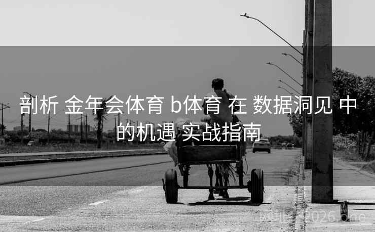 剖析 金年会体育 b体育 在 数据洞见 中的机遇 实战指南