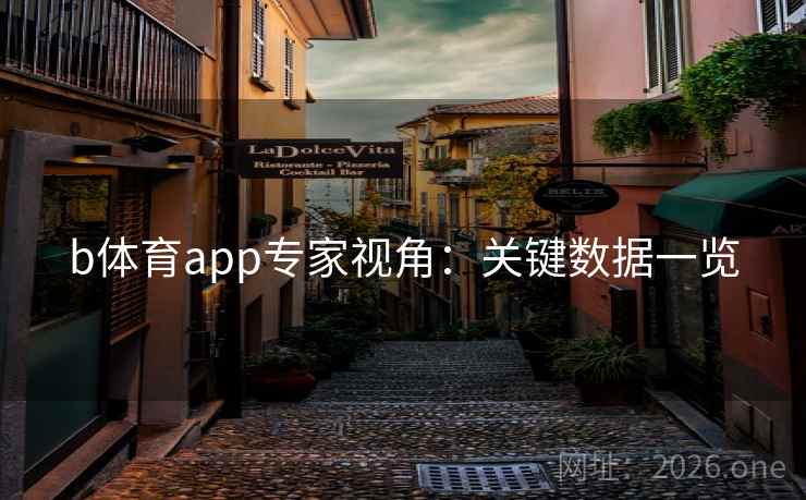 b体育app专家视角：关键数据一览