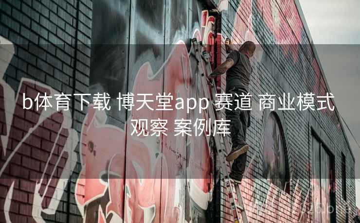 b体育下载 博天堂app 赛道 商业模式 观察 案例库
