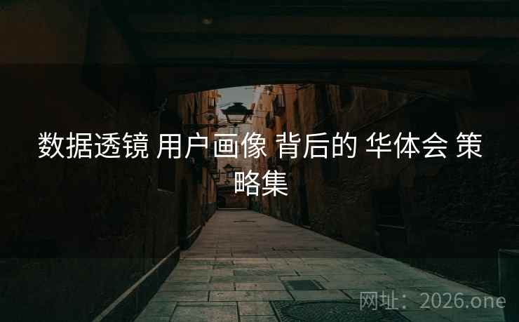 数据透镜 用户画像 背后的 华体会 策略集