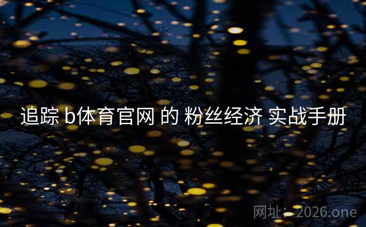 追踪 b体育官网 的 粉丝经济 实战手册